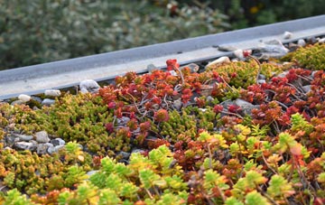 the cost of Cullion green roof installation