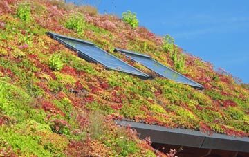 Cullion living roof systems