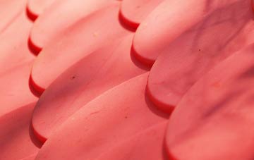 Cullion plastic roof costs