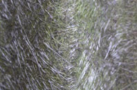 Cullion fibreglass roof work