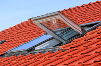 Cullion roof window